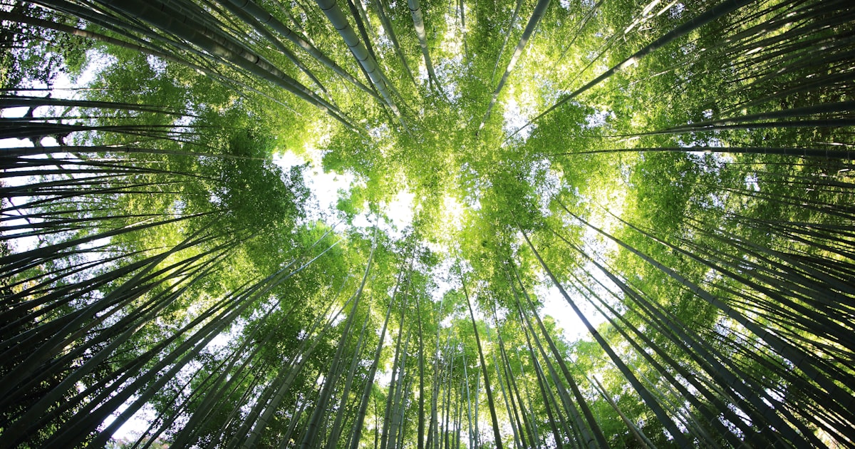 用 AI 撰寫 ESG 永續報告完整指南:5 種報告框架、4 條合規風險、3 條人機協作流程——中小企業 2026 上市櫃供應商雙重申報的內容生產線 封面圖